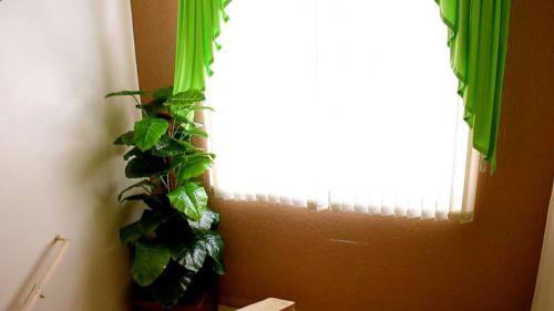 This photo about Hotel Rio Branco shared on HyHotel.com