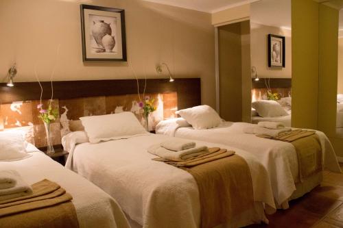 Atankalama in Calama City Center Atankalama in Calama City Center