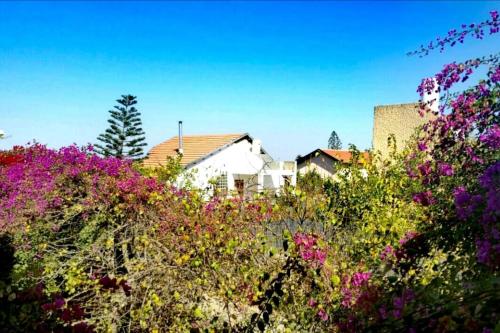 View, LeSaNel - Guest House in Arad View, LeSaNel - Guest House in Arad