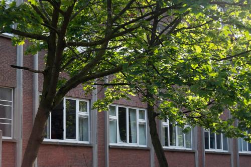 This photo about B&B Tempelhof shared on HyHotel.com