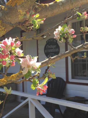 ทางเข้า, Coonawarra's Pyrus Cottage in คูนาวารร่า ทางเข้า, Coonawarra's Pyrus Cottage in คูนาวารร่า