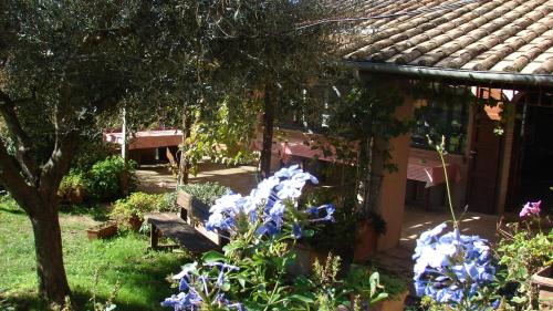 Agriturismo Terra Sabina in Poggio Mirteto Agriturismo Terra Sabina in Poggio Mirteto