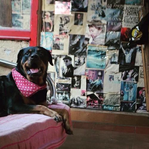 This photo about Longboard House shared on HyHotel.com