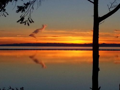 在meiguo.com看到的Greenhouse Inn by the Bay的介绍图片