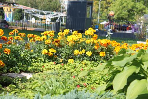 Vrt, Latvijas Sarkana Krusta viesnica in Rezekne Vrt, Latvijas Sarkana Krusta viesnica in Rezekne