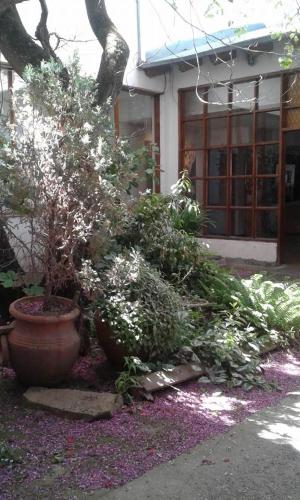 This photo about Chapelco Ski Hotel shared on HyHotel.com