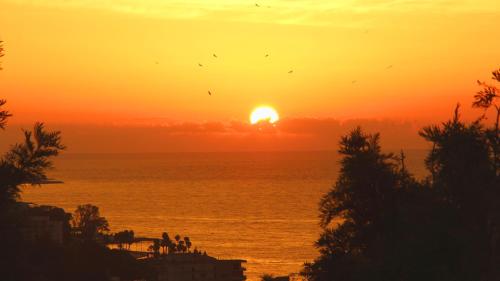 This photo about Villa Malaga shared on HyHotel.com