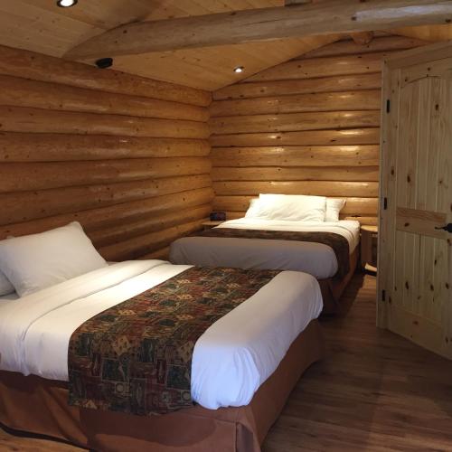 Port Hardy Cabins in Port Hardy (BC) Port Hardy Cabins in Port Hardy (BC)