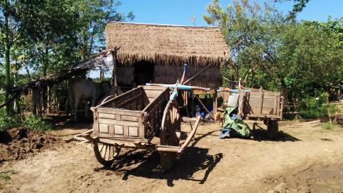 פעילויות, Phalla Riverside in Kampong Cham פעילויות, Phalla Riverside in Kampong Cham