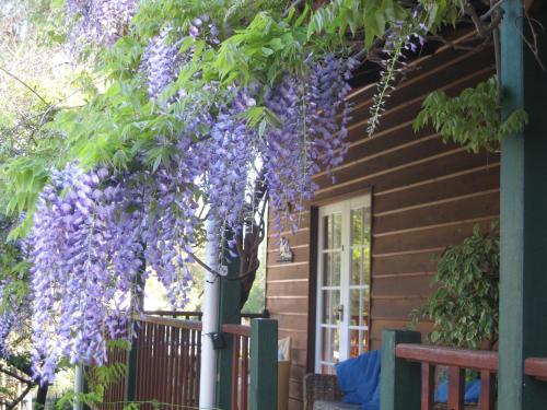 RoseMoore Bed & Breakfast, Perth RoseMoore Bed & Breakfast, Perth