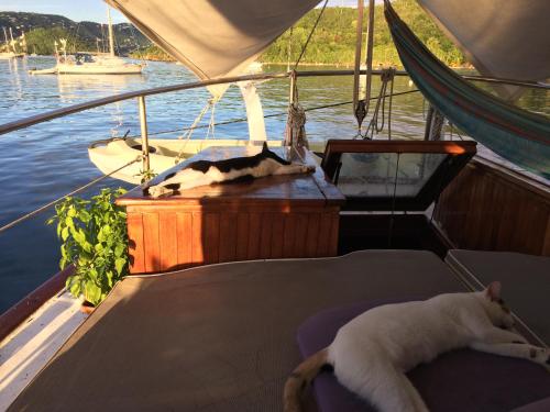 Sadržaji, St Thomas stay on Sailboat Ragamuffin incl meals water toys in Kingshill Sadržaji, St Thomas stay on Sailboat Ragamuffin incl meals water toys in Kingshill