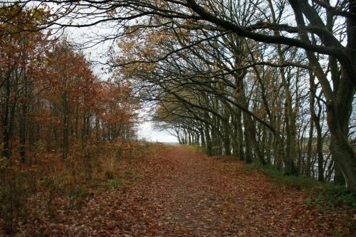 This photo about Mejrup Bed & Breakfast shared on HyHotel.com