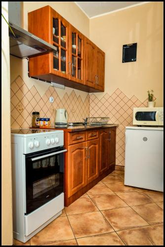 Kitchen, Apartman Tilia in zdiar Kitchen, Apartman Tilia in zdiar
