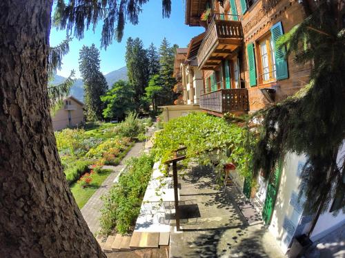 Exterior view, Edelweiss Lodge near Unspunnen Castle Exterior view, Edelweiss Lodge near Unspunnen Castle