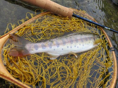 This photo about Drive Inn Keigetsu shared on HyHotel.com