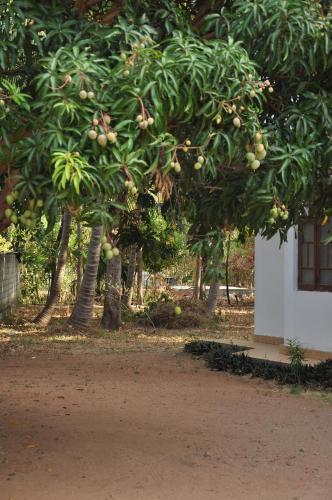 This photo about Kendiya Resort shared on HyHotel.com