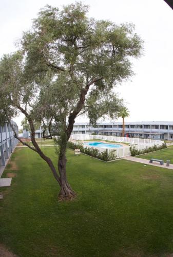 泳池, EZ8汽車旅館機場店 (EZ8 Motel Airporter) in 菲尼克斯 (AZ) 泳池, EZ8汽車旅館機場店 (EZ8 Motel Airporter) in 菲尼克斯 (AZ)