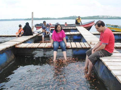 This photo about Pelli Riverine shared on HyHotel.com