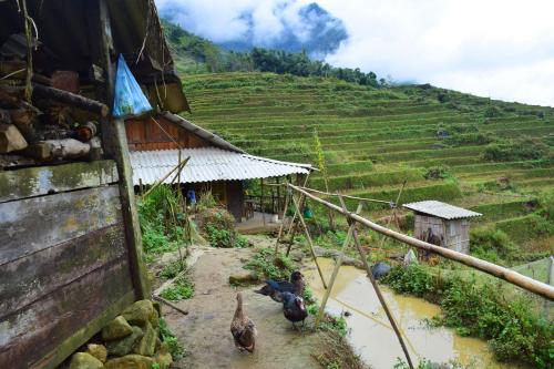 This photo about Miku Chill House shared on HyHotel.com