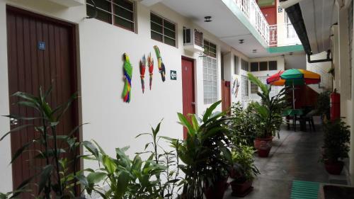 This photo about Hostal El Colibri shared on HyHotel.com