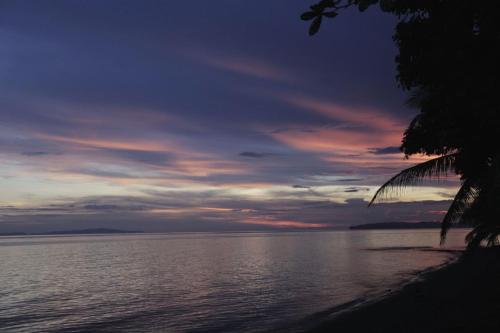 Beach, Vitton Beach Resort in Donsol Beach, Vitton Beach Resort in Donsol