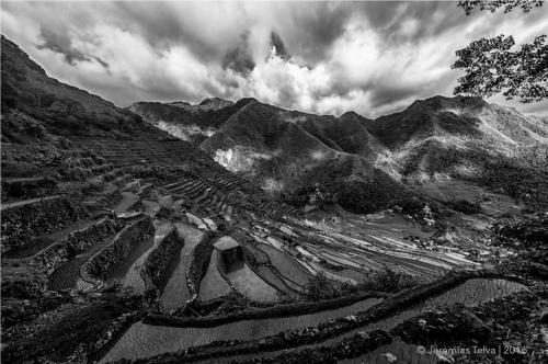 View, Rice Homestay in Banaue View, Rice Homestay in Banaue