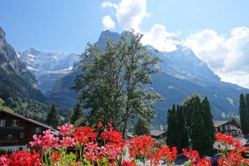 This photo about Chalet Wyssefluh shared on HyHotel.com