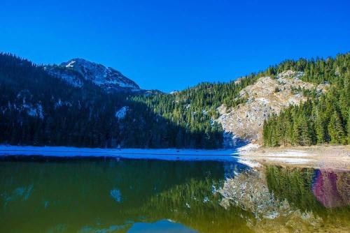 المنظر الخارجي, Rooms Apartment Durmitor in زابلجاك المنظر الخارجي, Rooms Apartment Durmitor in زابلجاك