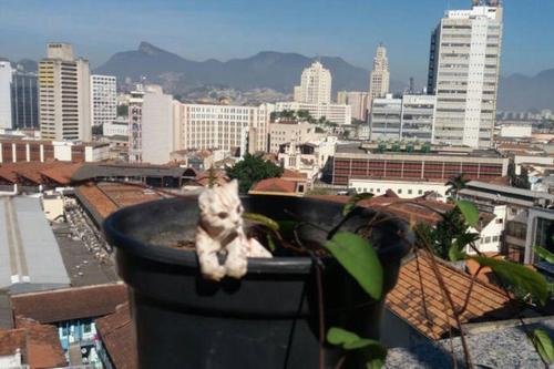 Hotel Hospedagem com história, conforto e arte!