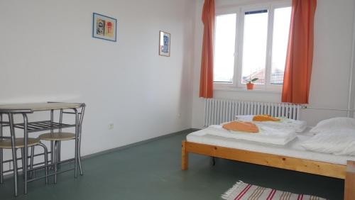 Vendégszoba, Hostel Bernarda Bolzana in Tábor Vendégszoba, Hostel Bernarda Bolzana in Tábor