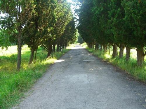 This photo about Hotel Vishnevka shared on HyHotel.com