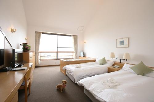 This photo about CARO FORESTA Tateyama DIANA shared on HyHotel.com