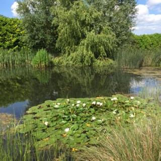 This photo about Darsham Old Hall shared on HyHotel.com