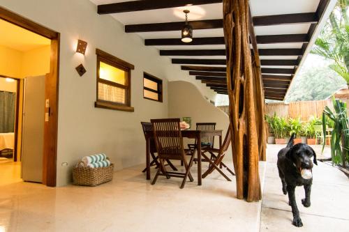 Balcony/terrace, Ten North Tamarindo Beach Hotel in Tamarindo Balcony/terrace, Ten North Tamarindo Beach Hotel in Tamarindo
