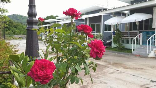 This photo about Sweet Infinity @332 shared on HyHotel.com