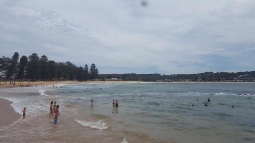 This photo about Rockwall Avoca Beach shared on HyHotel.com