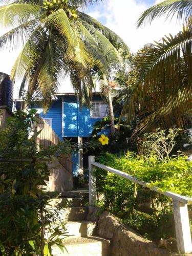 Garden, onelovecottagetobago upstairs apartment in Scarborough Garden, onelovecottagetobago upstairs apartment in Scarborough