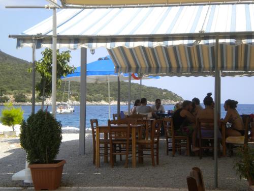 Étterem, Stone House in a quiet landscape, Leonidion in Leonidion Étterem, Stone House in a quiet landscape, Leonidion in Leonidion