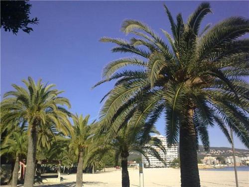 This photo about Hostal Roberto shared on HyHotel.com