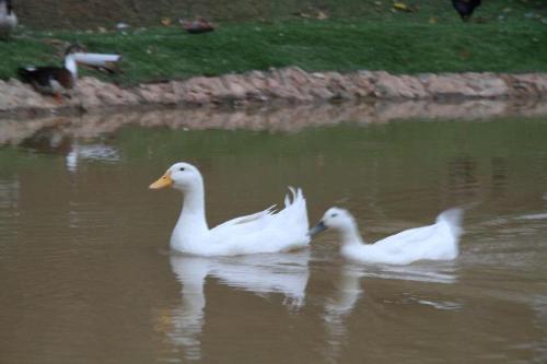 This photo about Pousada Vale da Serra shared on HyHotel.com