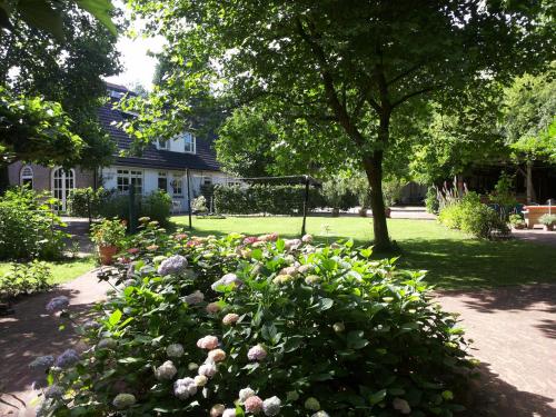 Jardín, B&B Stadsoase Nijmegen in Nijmegen Suburbs Jardín, B&B Stadsoase Nijmegen in Nijmegen Suburbs