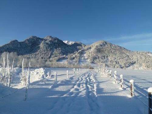 Surrounding environment, Zum Heisn in Lenggries Surrounding environment, Zum Heisn in Lenggries