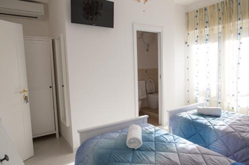 This photo about Hibiscus shared on HyHotel.com