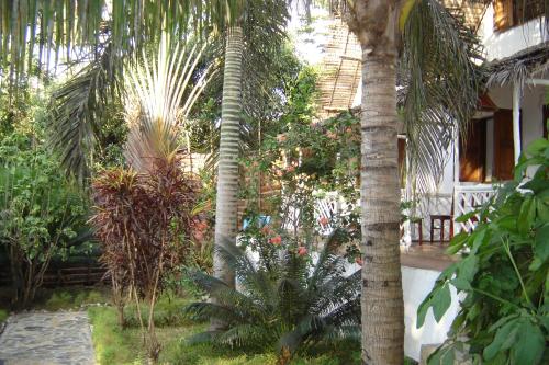 Garden, Hotel La Caravelle in Nosy Be Garden, Hotel La Caravelle in Nosy Be