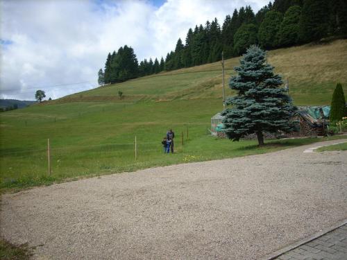 This photo about Tannenhof shared on HyHotel.com