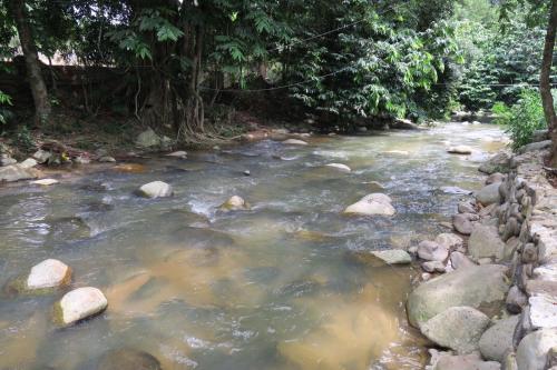 Surrounding environment, Canopy Villa Glamping Park in Janda Baik Surrounding environment, Canopy Villa Glamping Park in Janda Baik