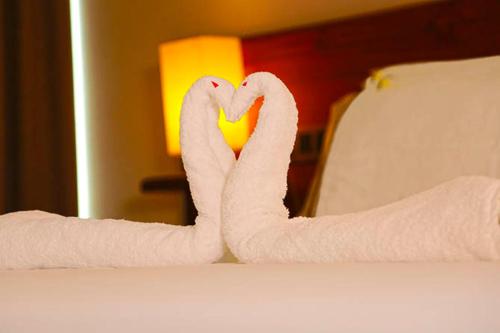 This photo about Arena Hotel shared on HyHotel.com