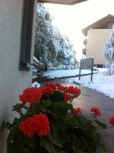 This photo about Residenz Ambassador A22 shared on HyHotel.com