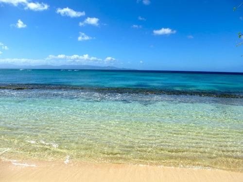 plage, Les Hauts de Terrasson in Les Abymes plage, Les Hauts de Terrasson in Les Abymes