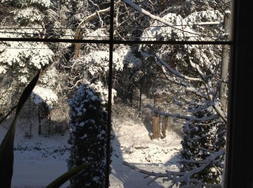 Noclegi Pod Borkiem in Szypliszki Noclegi Pod Borkiem in Szypliszki